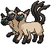 Siamese Ferberus